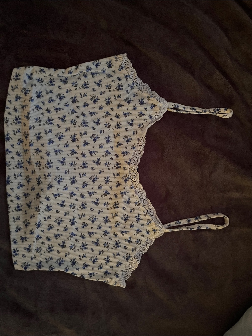 Floral Lace Trim Cropped Cami Top - Blue on Cream